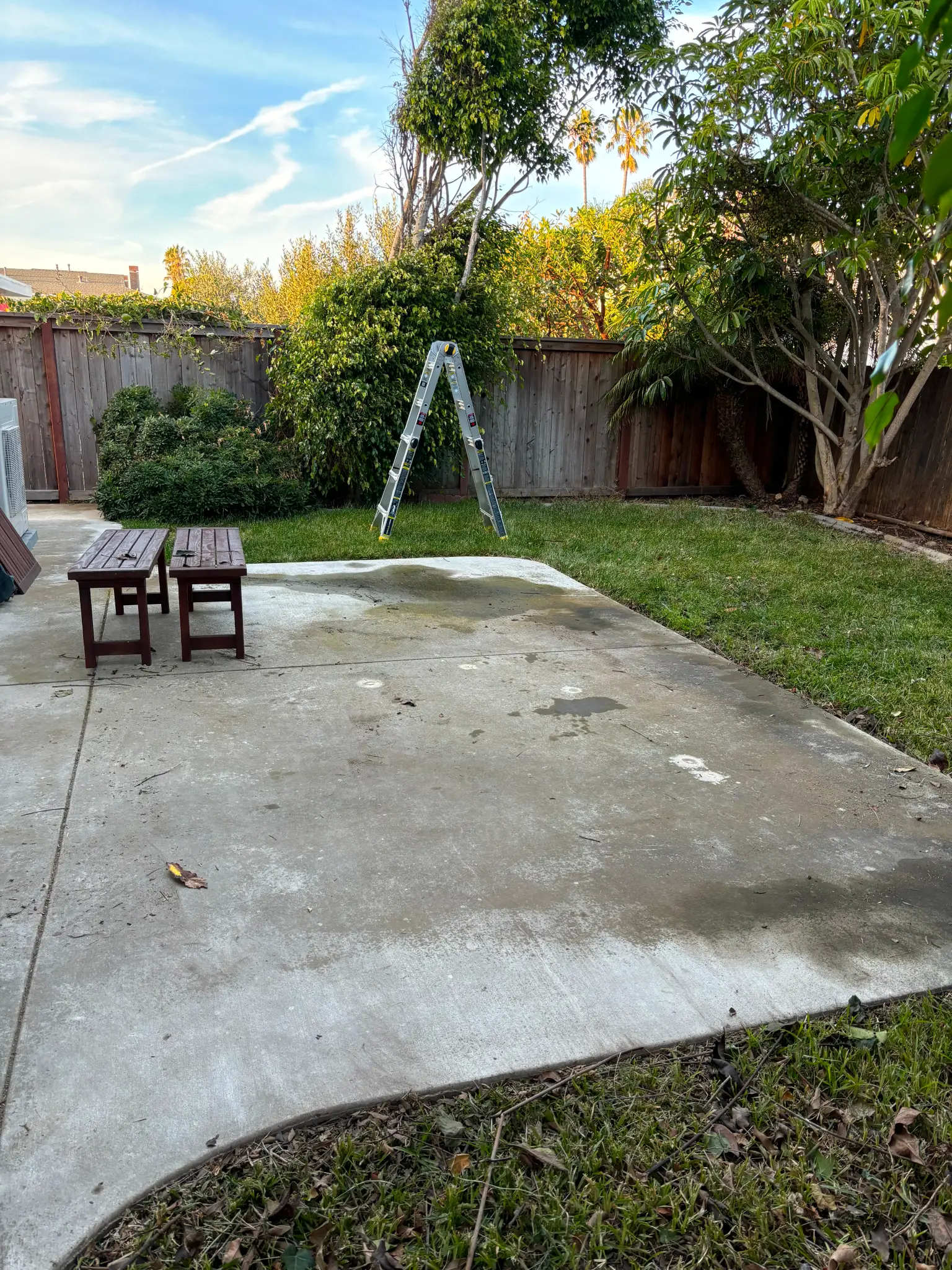cleared yard